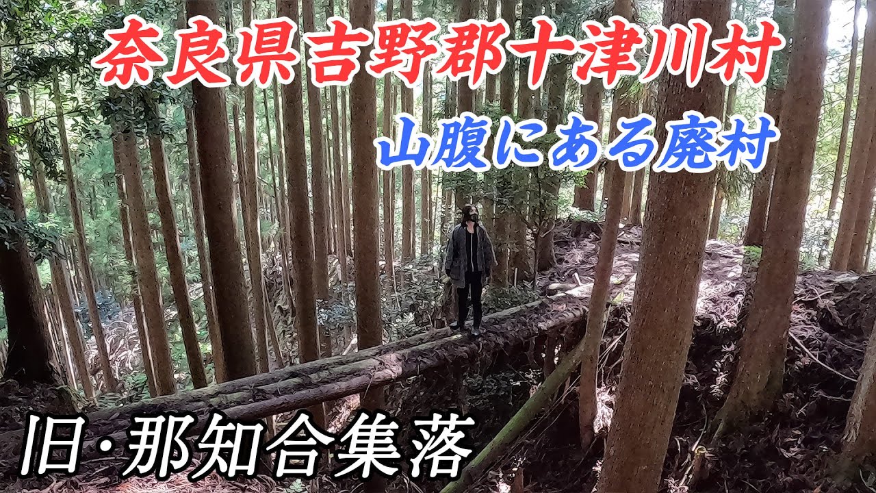 山腹にある廃村　文政10年(1827)の墓石も有り - 旧･那知合集落
