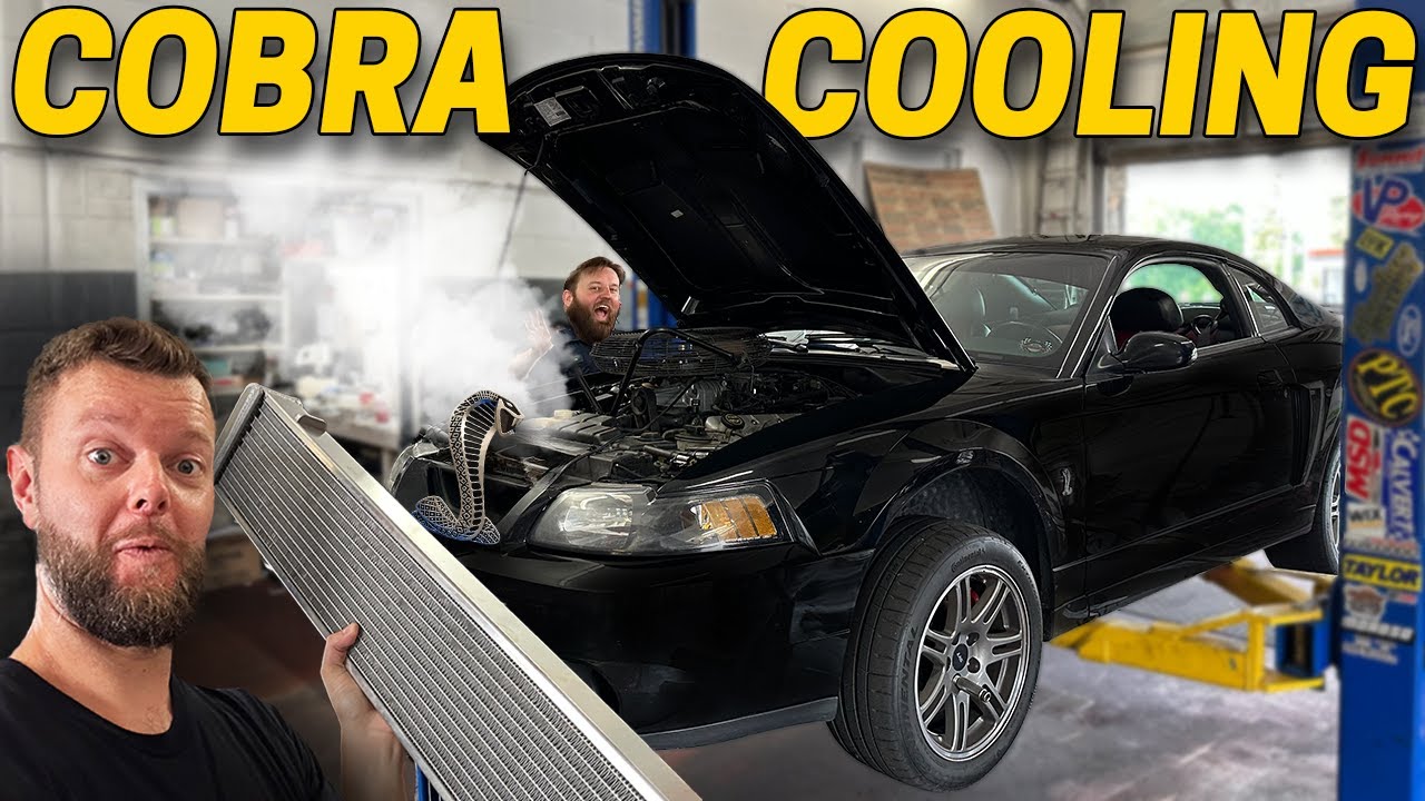 Making my CHEAP Terminator Cobra COOLER!