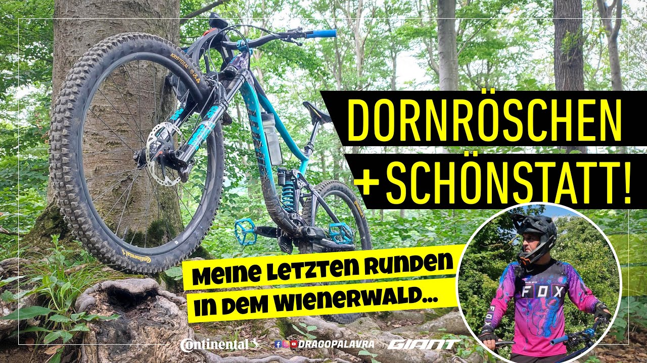 🇦🇹 DORNRÖSCHEN + SCHÖNSTATT TRAIL | Meine Letzten Runden in dem Wienerwald | Drago Palavra 🇦🇹