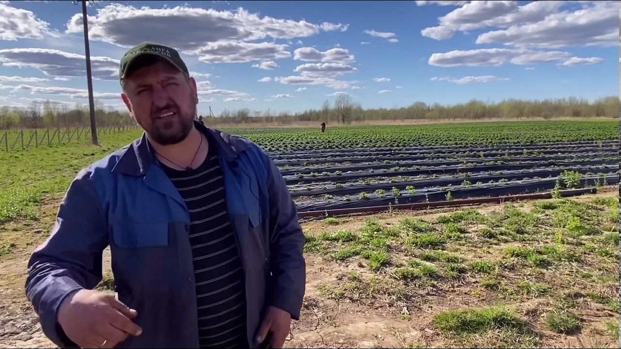 АгроСтартАп или грант как начинающий фермер, ожидание и реальность!