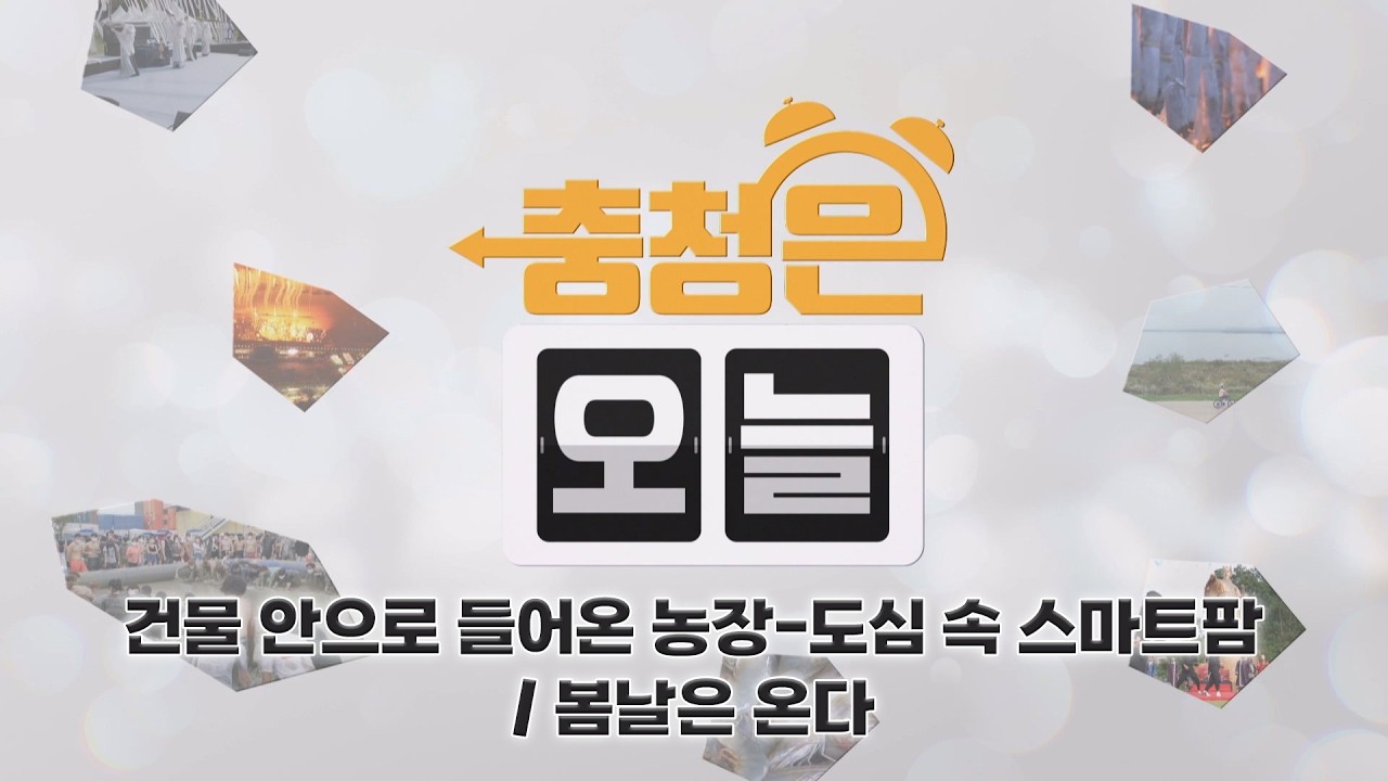 건물 안으로 들어온 농장-도심 속 스마트팜 / [다시 출근합니다] 봄날은 온다 / KBS대전 20260211 방송