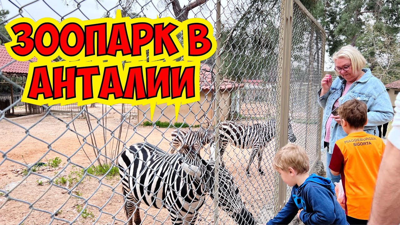 ОГРОМНЫЙ ЗООПАРК В АНТАЛИИ! ТУРЦИЯ АНТАЛИЯ 2022