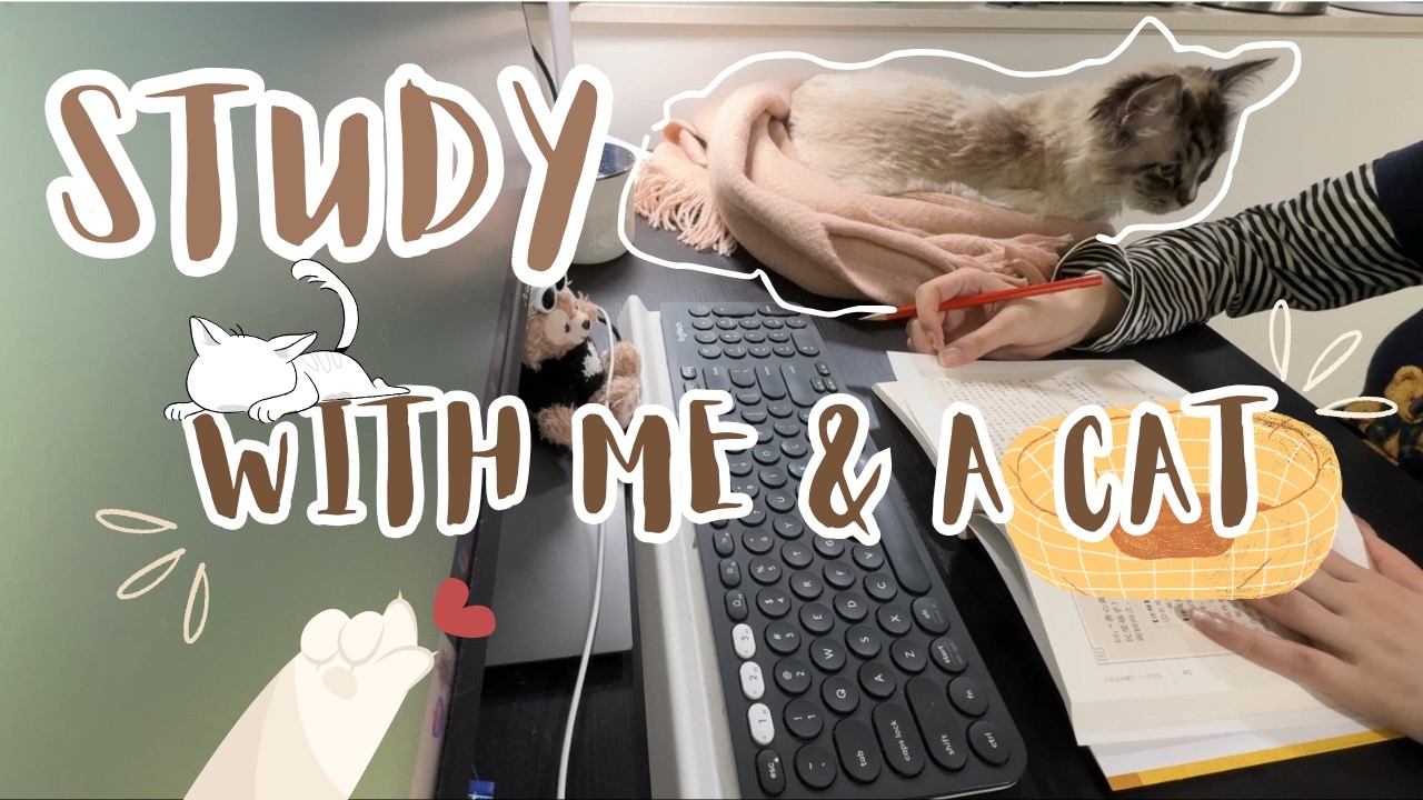 和我一起读书吧 | 40 Min Read With Me & A Cat 😸 |🔥Relaxing Fire Cracking | Without break | Timer