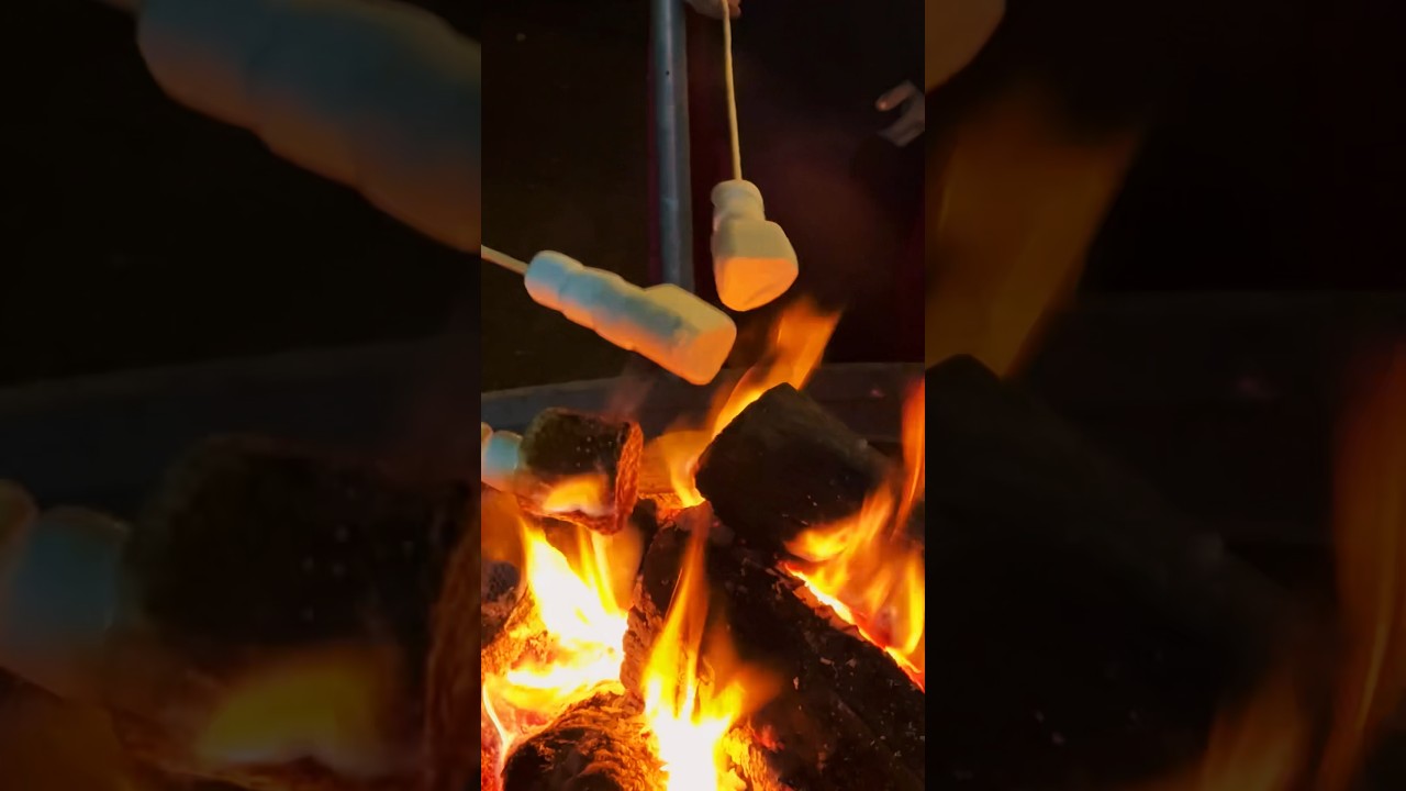 Marshmallows over an open fire is spectacular 🔥🍡 #tasty #food #foodie #halloween #sweet #outdoors