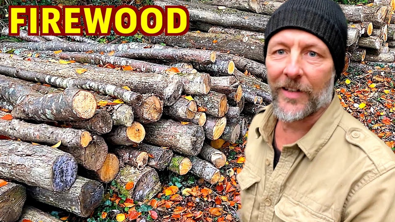 It All Needs to be Moved - Hauling my Firewood