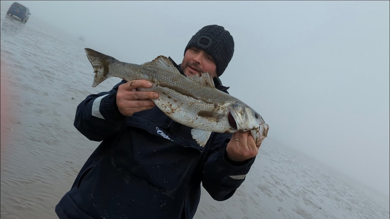 Bass ,flounder fishing pendine  west Wales match fishing   #bassfishing #seafishing #viral #views