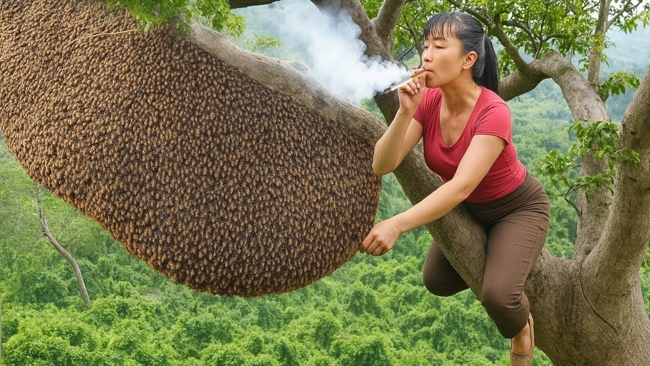 Màn Bắt Ong Kịch Tính Trên Cành Cây Mong Manh!