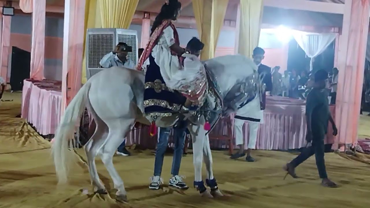 જાનકી એન્ડ મોદી સોલંકી પ્રવિણભાઇ ભવાનભાઈ ની દિકરી યોજના  લગનનીમોજ ગામ લખાભગતનામુવાડા
