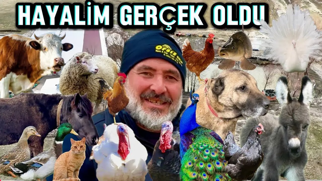 ÇOK PARANIZ OLSA NE YAPARSINIZ / ŞEHİRDEN KÖYE GÖÇ ETTİ / İŞ ADAMI CELAL ABİNİN MUAZZAM ÇFTLİĞİ 