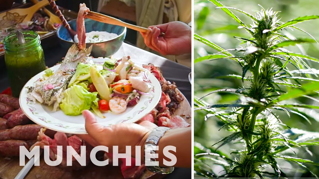 Cannabis Olive Oils, Ceviche, and Prime Rib: BONG APP&Eacute;TIT with Om Edibles