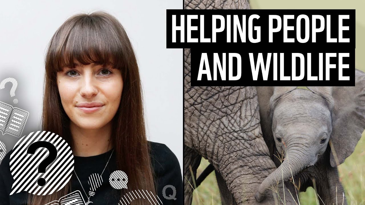 How we’re helping wildlife and people thrive | Land For Life | WWF