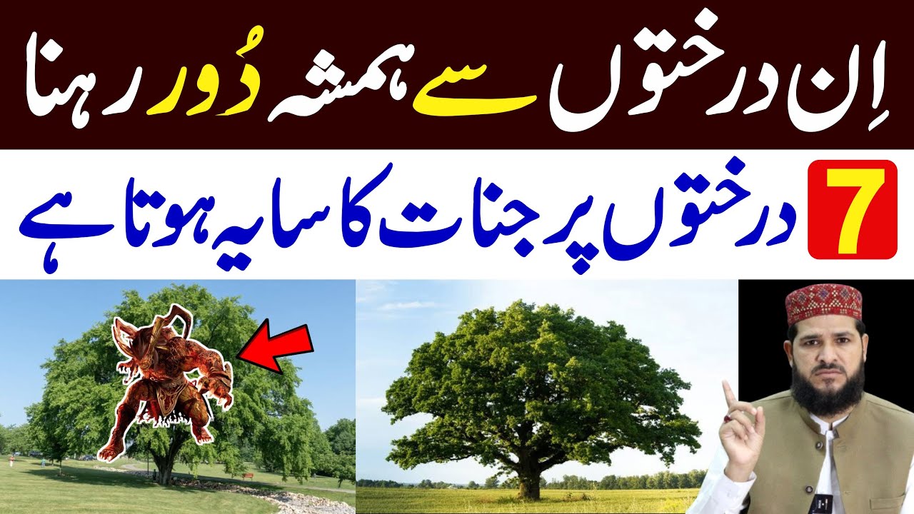 7 Darakhton (tree) Par Jinnat Ka Saya Hota Hai | Kon se Ped Par Jinnat khabees ka saya hota hai ? |