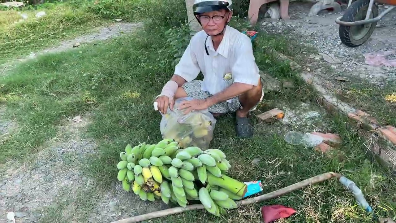 Hoa sen trắng đẹp vô cùng
