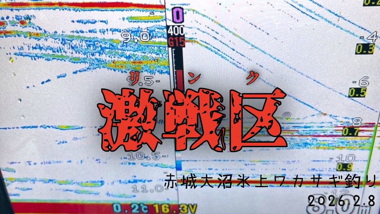 2026.2.8【激戦区】赤城大沼氷上ワカサギ釣り