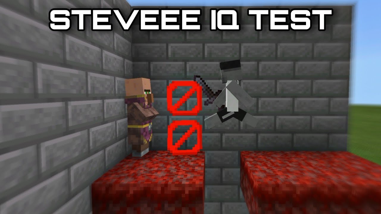 I Tested Steveee's IQ
