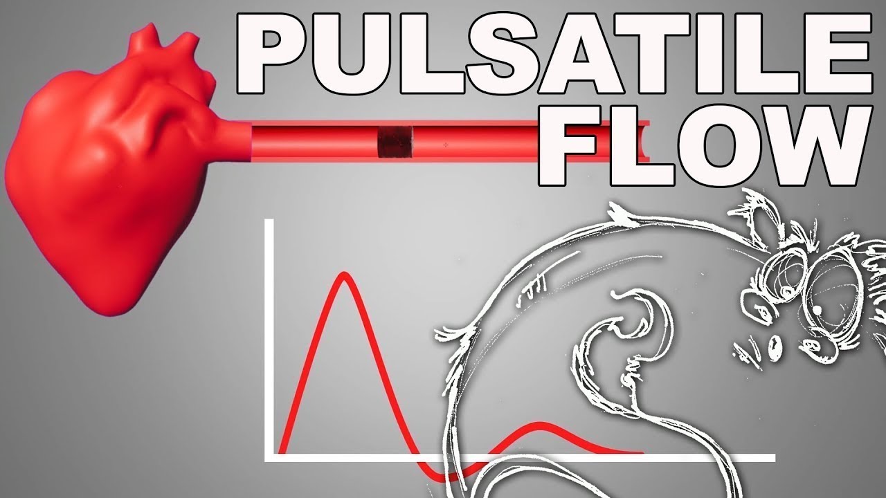 Pulsatile Flow