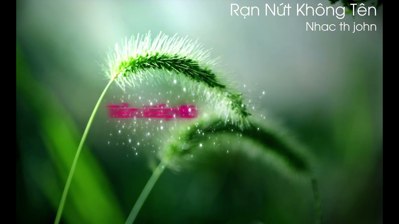 Rạn Nứt Không Tên