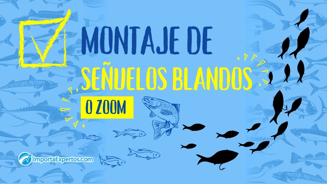 Tres formas de hacer un montaje de Zoom 🎣