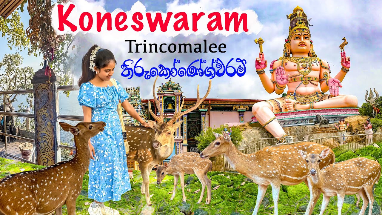 Koneswaram Kovil | නිදහසේ මුවෝ ඉන්න ලංකාවේ එකම නගරය | Trincomalee Sri Lanka