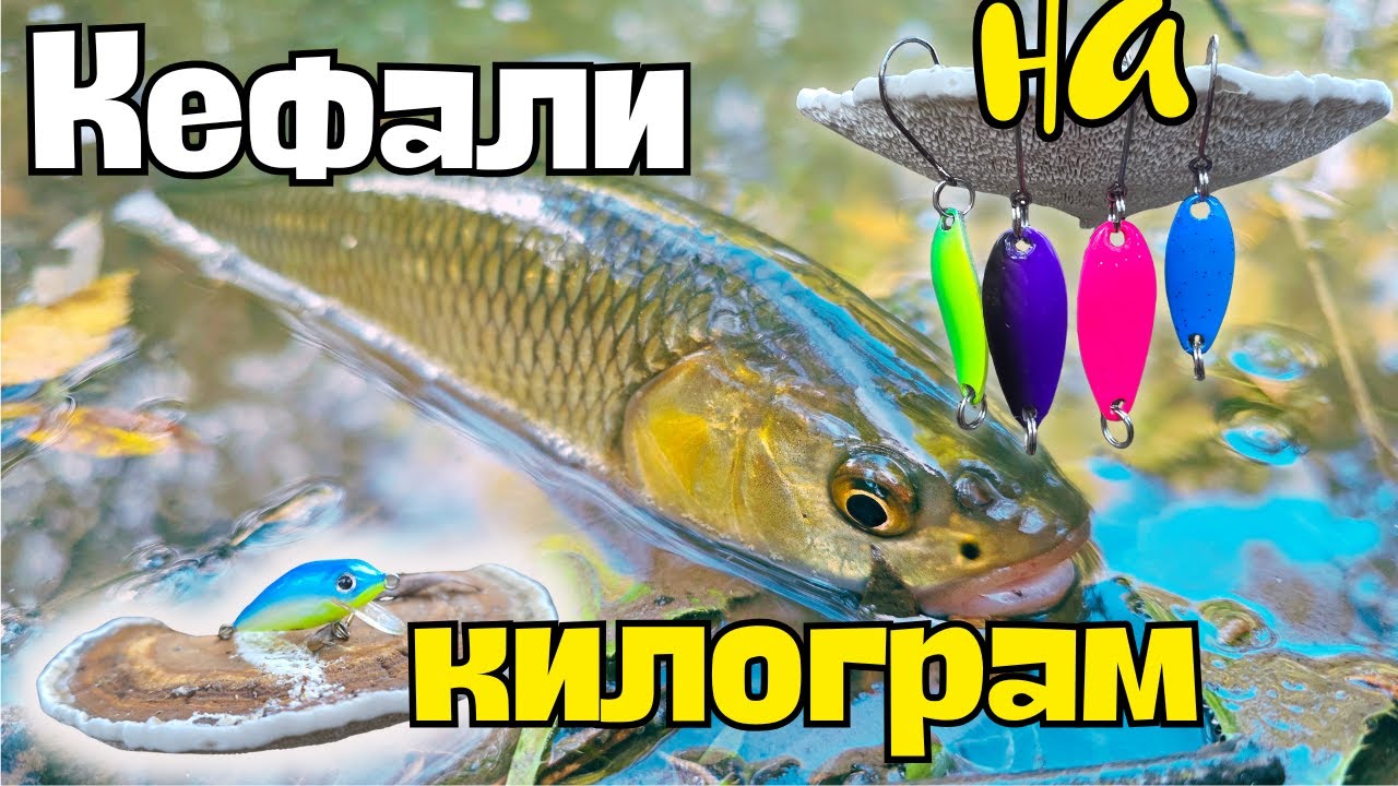 ПЕРФЕКТНИ УСЛОВИЯ НА РЕКА ЛУДА КАМЧИЯ!! СИЛЕН ЕСЕНЕН РИБОЛОВ НА КЕФАЛИ!!