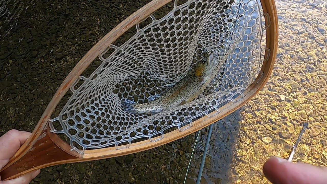 Catching Big Rainbows at Roaring River State Park