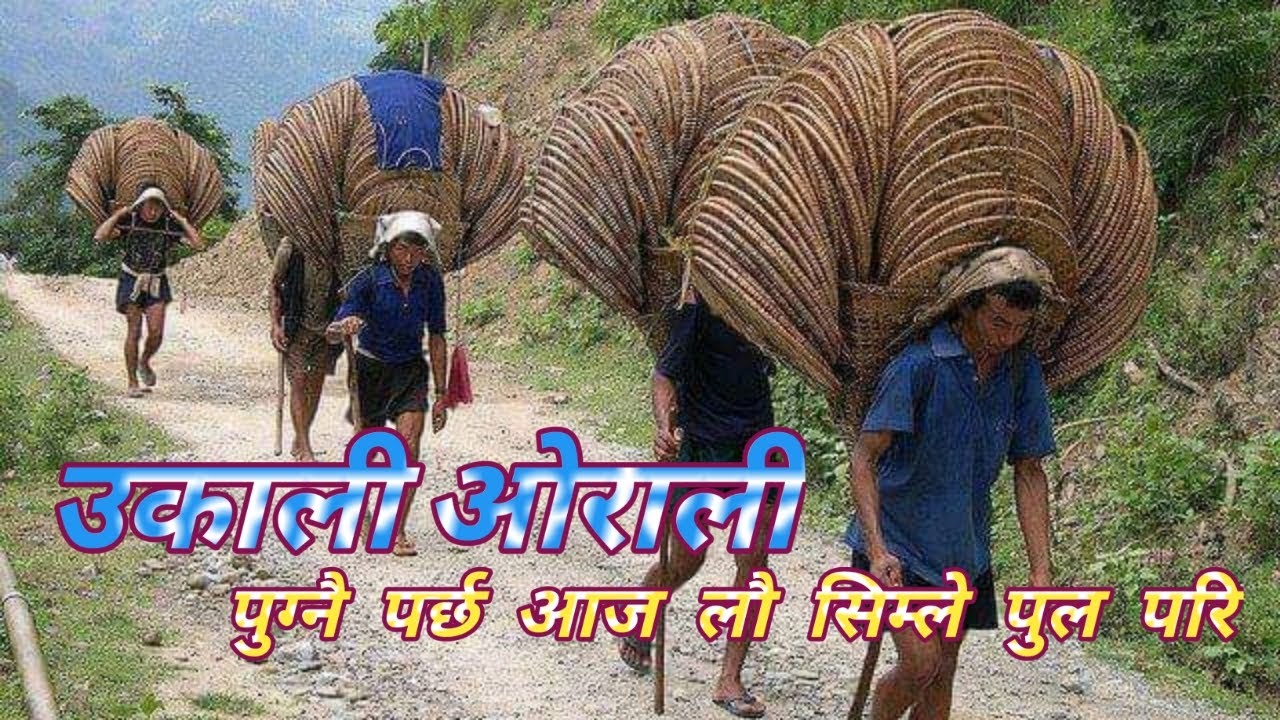 उकाली अोरली पुग्नै पर्छ अाजै लौ सिम्ले पुल परि | Ukali Orali Pugnai Parchha Aajai Lau Simle Pul Pari