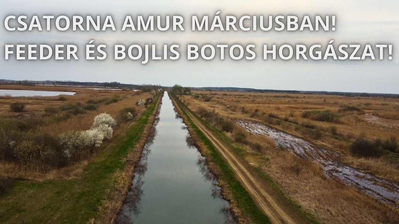 Kora tavaszi amur horgászat a csatornán! 😁🐟 #fishing