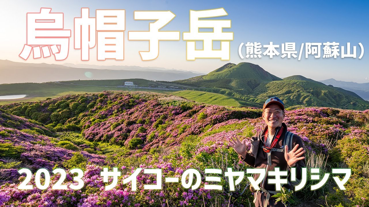 【日帰り登山】 これは絶景！烏帽子岳（阿蘇五岳）を夕駆けしたらミヤマキリシマが夕陽に映えた！ 2023.05.24