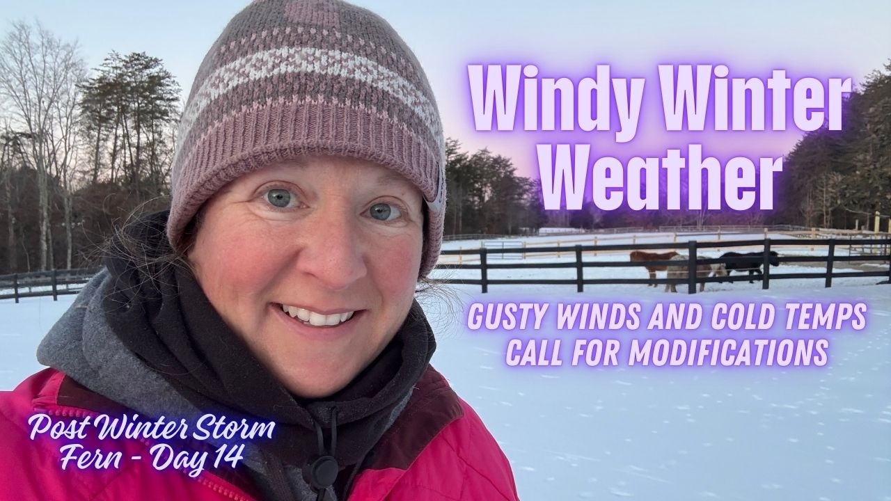 Windy Winter Weather
