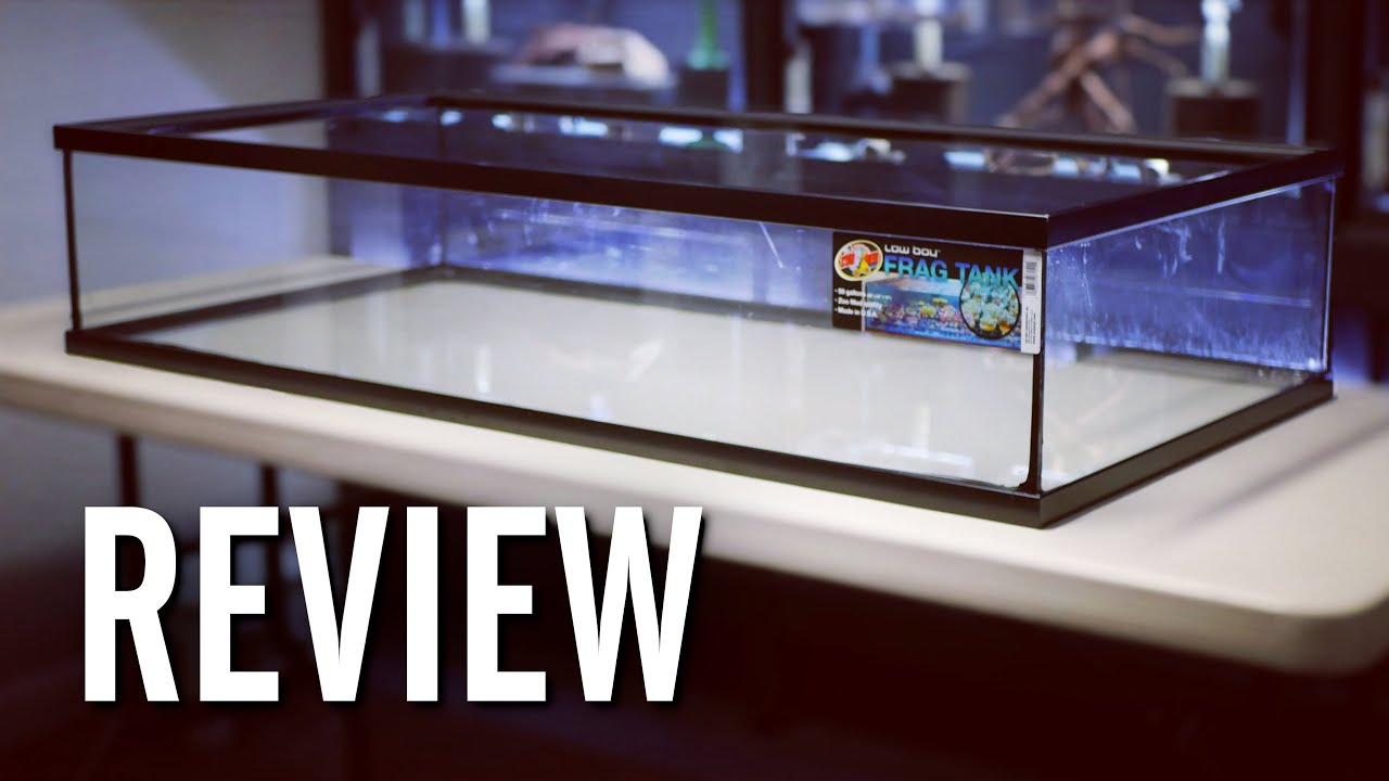 Zoo Med 50 Gallon Low Boy Flat Aquarium Review