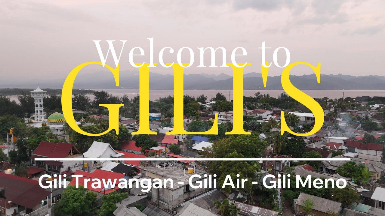 Gili islands - Fiesta, tortugas y nuevas integrantes | Indonesia Vlog #2