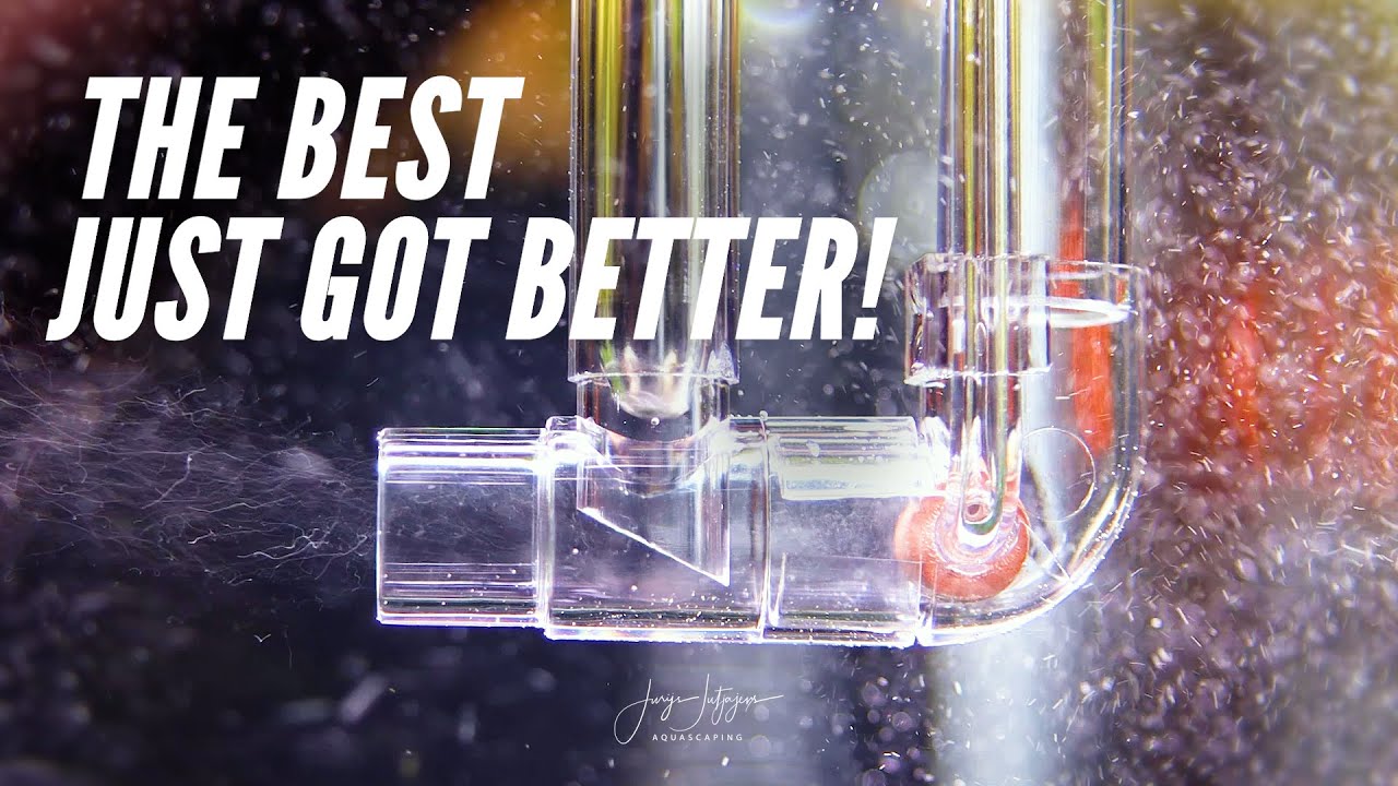 Best Way to Introduce CO2 in your Aquarium!