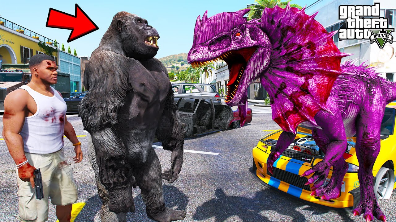 Franklin Found Angry Gorilla To Fight Dilophosaurus in GTA 5 | SHINCHAN and CHOP
