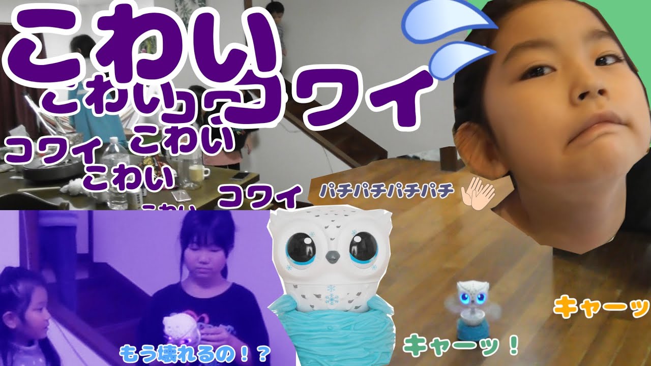 【モニタリング】とんで！オウリー　みんなで飛ばしてみたよ☆オウリーの飛ばし方★1歳児と3歳児の反応は？　怖い怖い　笑
