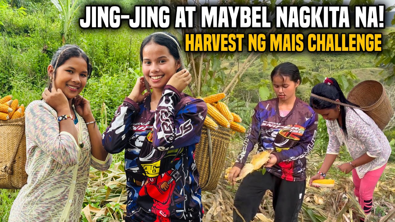 JING-JING AT MAYBEL NAGKITA NA! NAGHARVEST SILA NG MAIS