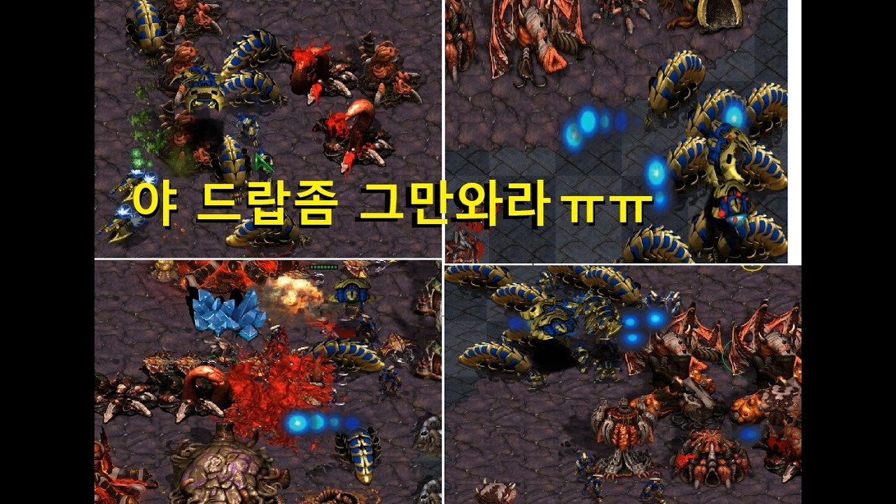 ㅇㄹ vs ㅅㅈ 빠무 1:1 랜덤 단판 (2026 02 16)