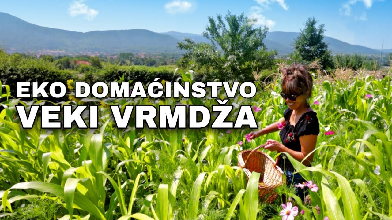 Oaza ep.4  - Eko domaćinstvo - Veki Vrmdža 🍀