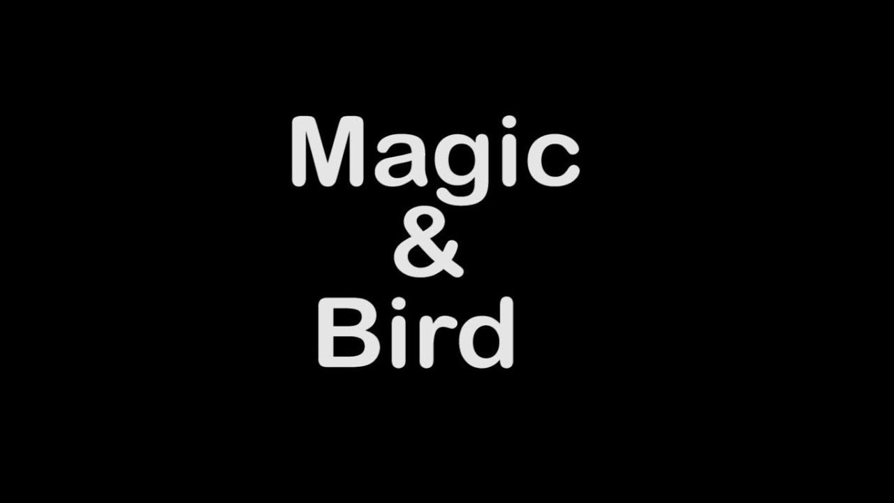 Jahaad & Brandon   Magic & Bird