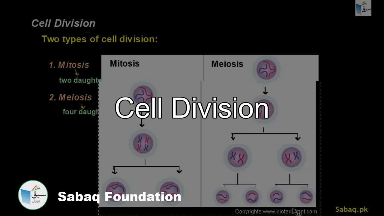 Cell Division, General Science Lecture | Sabaq.pk