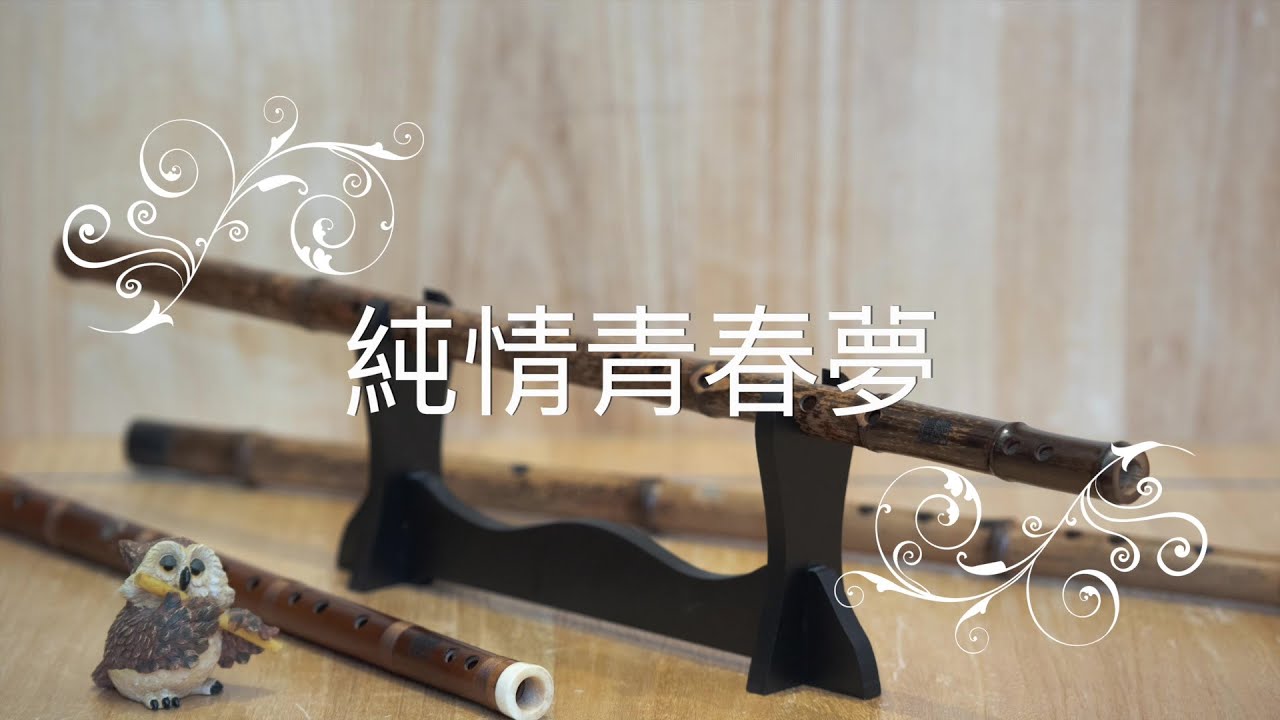純情青春夢（歡唱卡拉版） |【心竹笛演奏】