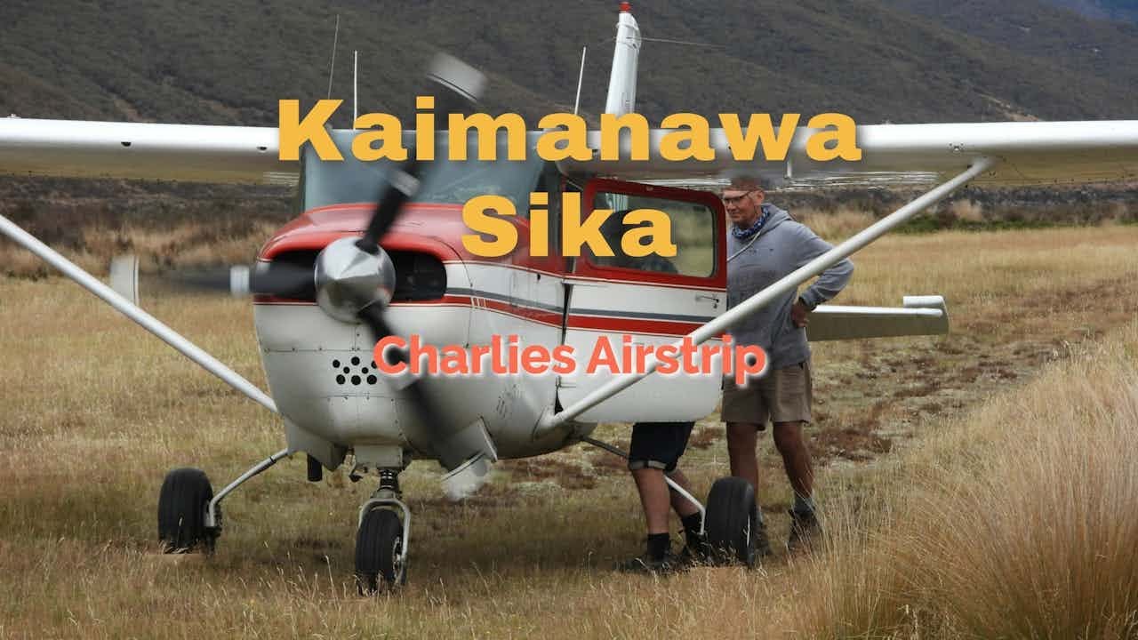 Kaimanawa Sika & Charlies Airstrip