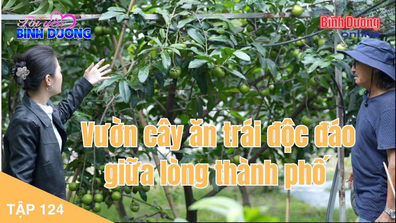 Tôi yêu Bình Dương: Vườn cây ăn trái độc đáo giữa lòng thành phố