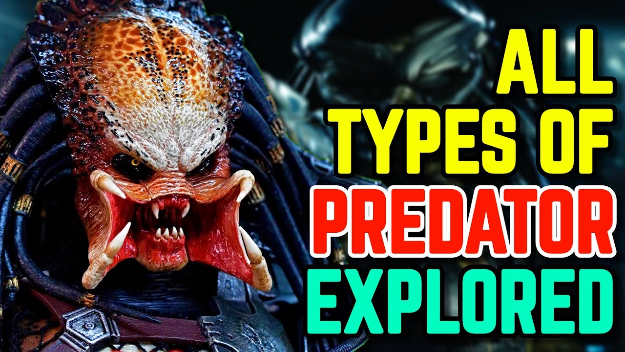 All (38) Types Of Yautjas (Predators) - Backstories/Species Explored