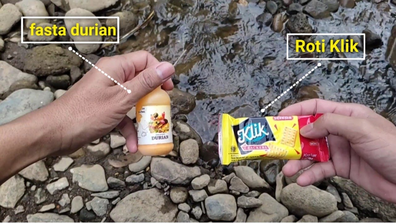 Cara yang simple membuat umpan ikan wader paling ampuh - dari roti Klik tanpa telur