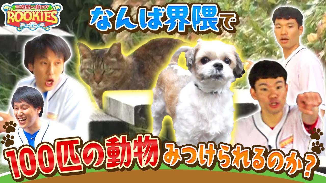 【街ロケルーキーズ】100匹の動物みつけられるのか!? 対戦校： 私立わんぱくアニマル学園