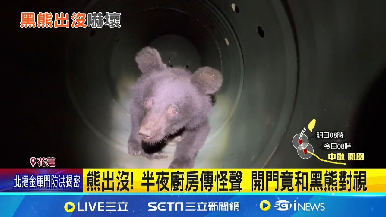 熊出沒! 半夜廚房傳怪聲 開門竟和黑熊對視 黑熊數度入侵住家.雞舍! 住戶嚇壞急報警｜三立新聞網 SETN.com