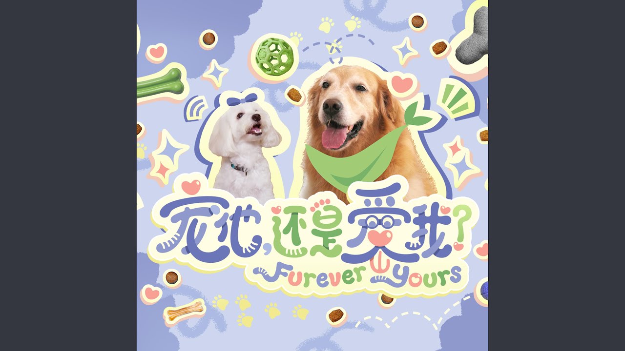 You're My Everything (新传媒电视剧《Furever Yours 宠他，还是爱我》主题曲)