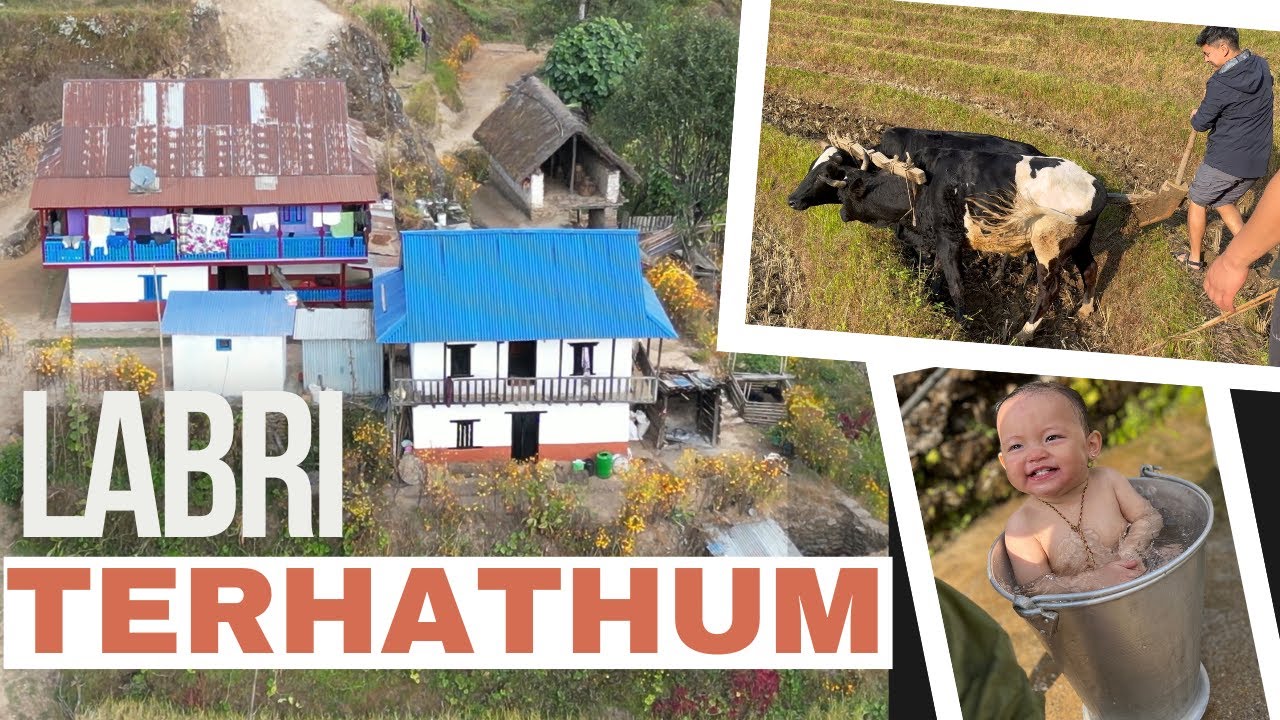 Limbu Village Vlog | Terhathum | Nepal