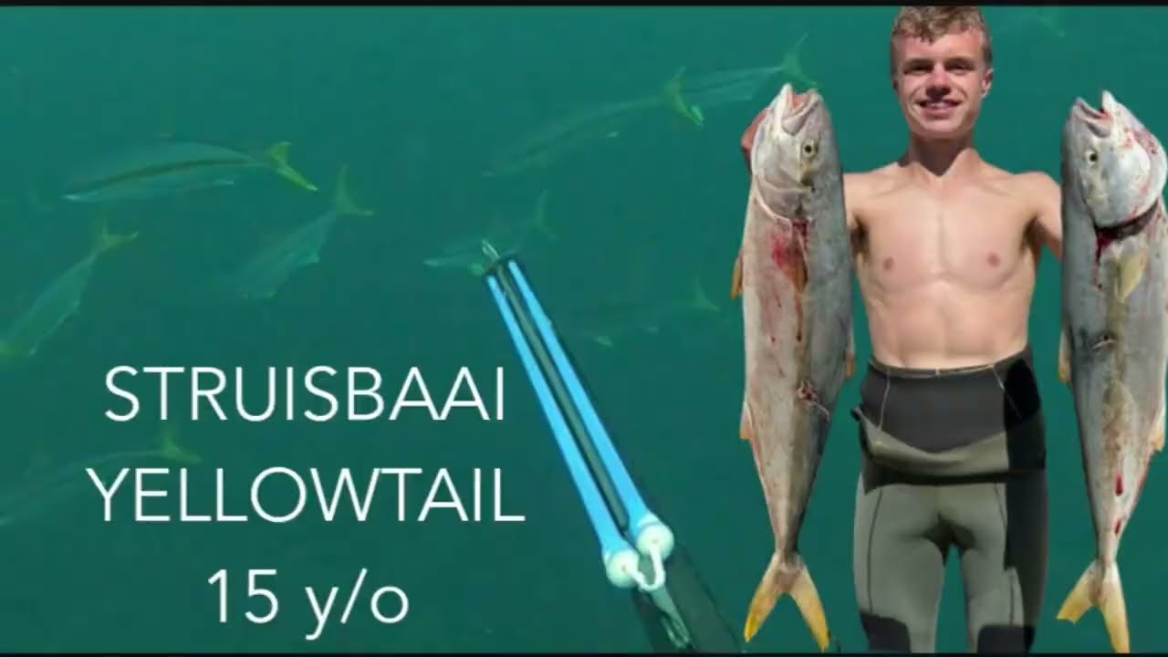 15 Year Old Spearfishing YELLOWTAIL - Struisbaai, South Africa