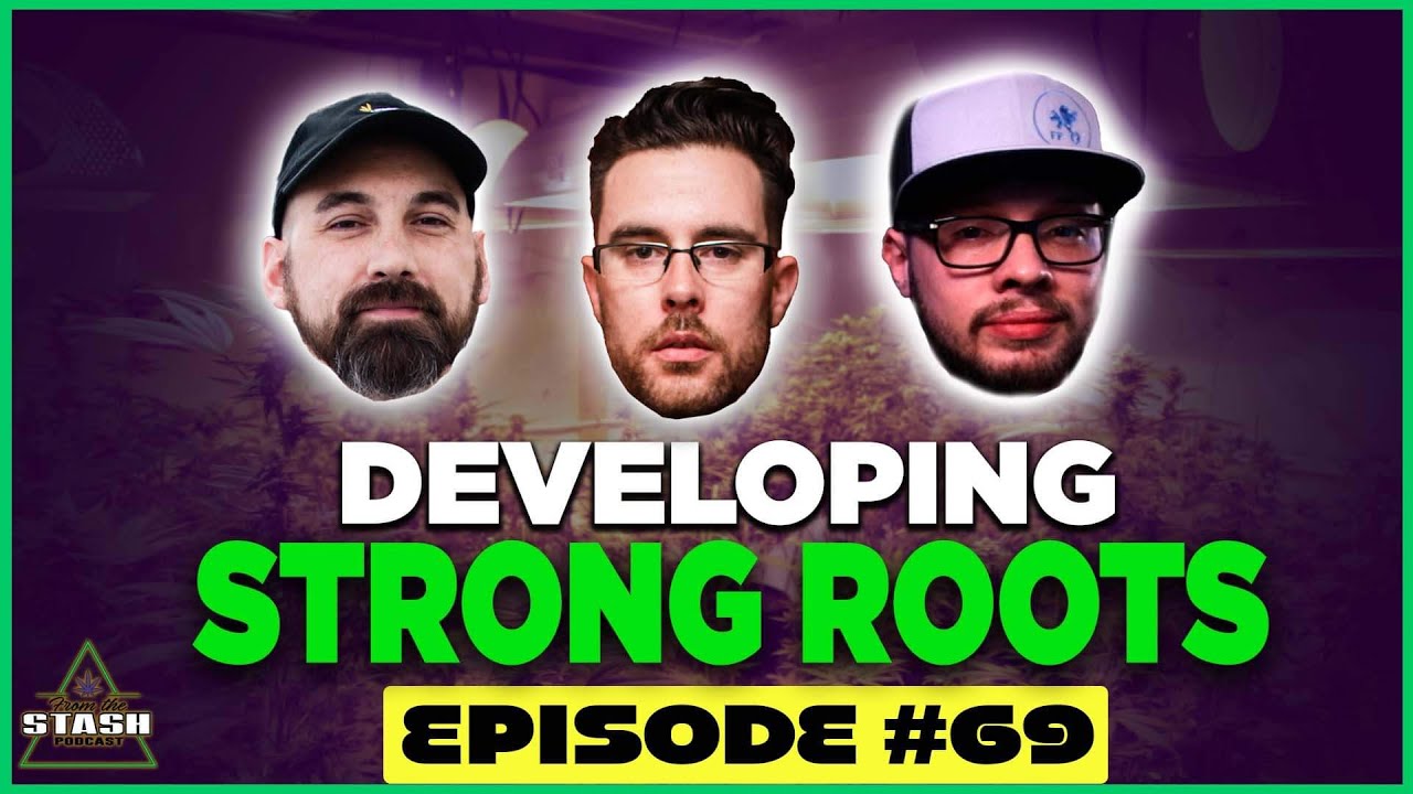 Developing A Strong Root System - From the Stash Podcast Ep. 69